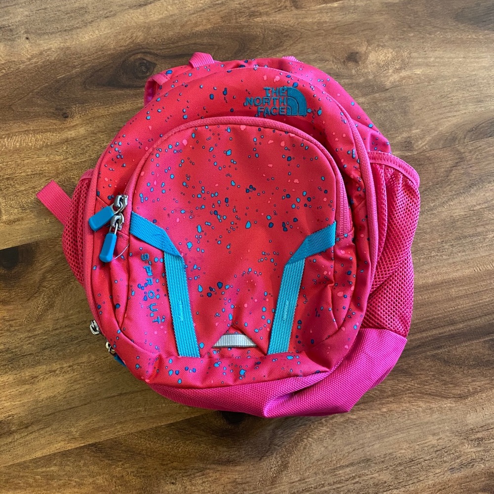 The north face backpack
